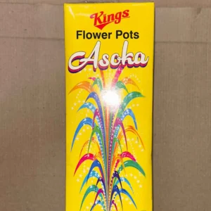 Flower Pots Ashoka& Giant